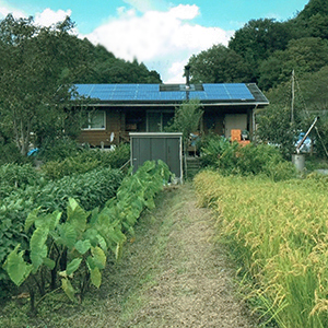 たいこう薬局イメージ